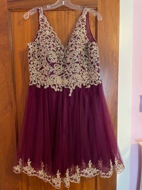 Burgundy Tulle Dress with Gold Embroidery